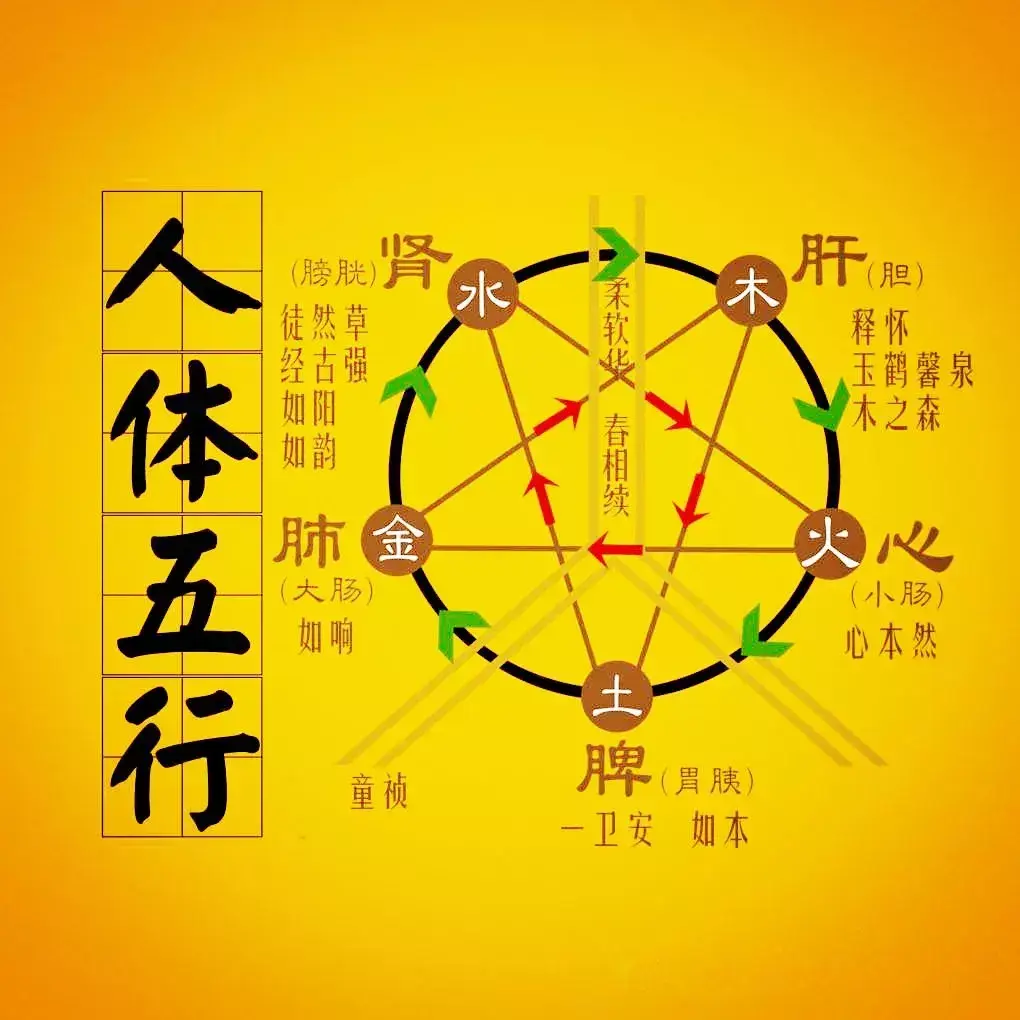 你是哪种体质？快来对照内经五行体质分类看