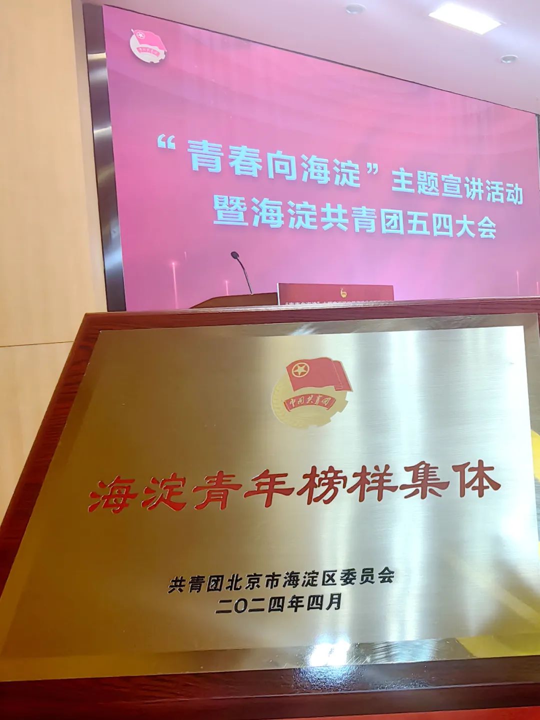 我校中国青年运动历史展览讲解队荣获海淀青