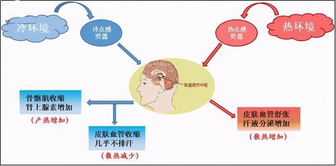 马拉松游泳比赛规则_冬泳马拉松_马拉松游泳比赛时间