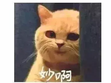亚健康调理价格_亚健康调理多少钱_什么叫亚健康调理