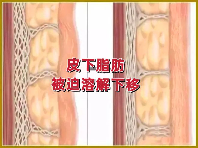 亚健康能死人么_人死了还有健康码吗_死人能影响活人吗